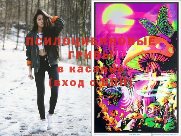 гидропоника Белокуриха