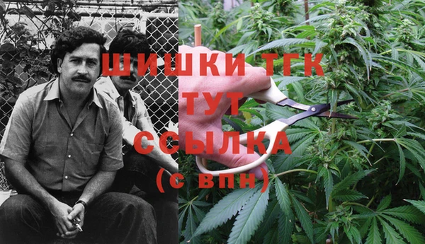 гидропоника Белокуриха