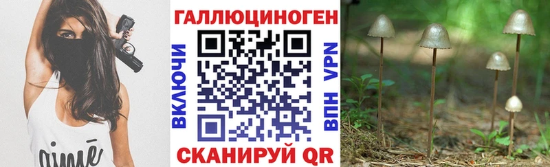 даркнет какой сайт как найти наркотики Ершов Галлюциногенные грибы прущие грибы