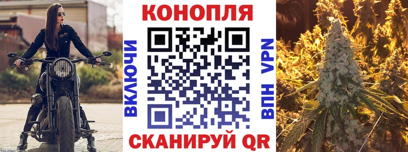 Канабис семена Ершов